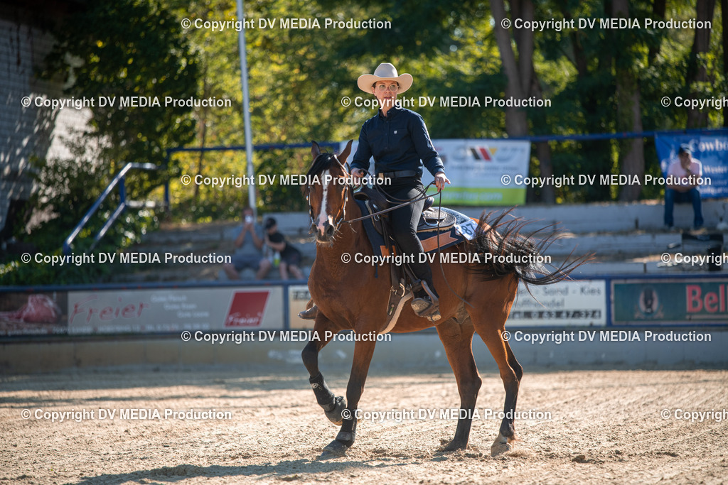 EWP_7026 | dv-media-shop - Realisiert mit Pictrs.com