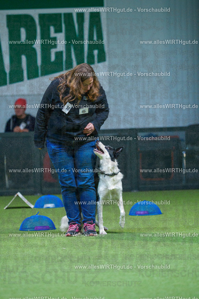 7R501382 | Professionelle Tierfotografie in Mönchengladbach von Daniel Wirth (allesWIRTHgut). Liebevolle & natürliche Bilder von Hunden & Katzen für unvergessliche Erinnerungen.