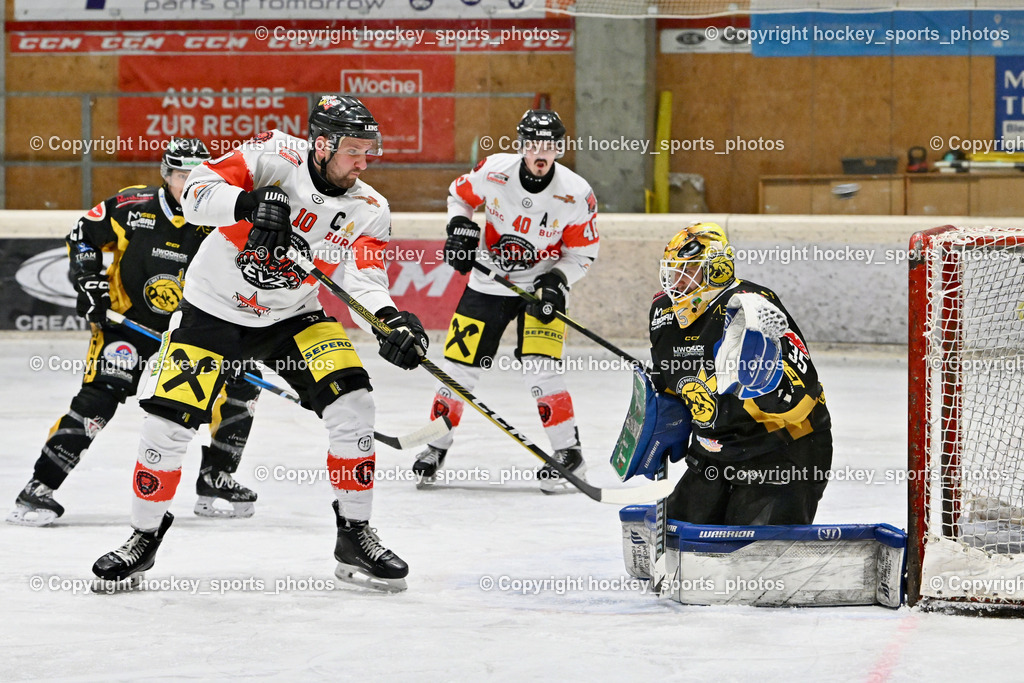 EC MET PHOTOVOLTAIK HORNETS SPITTAL vs. EV ZELTWEG MURTAL LIONS | #10 Sulzer Mario EV ZELTWEG MURTAL LIONS, 40z##35 Egger Luca EC Hornets Spittal, EC MET PHOTOVOLTAIK HORNETS SPITTAL vs. EV ZELTWEG MURTAL LIONS, EC MET PHOTOVOLTAIK HORNETS SPITTAL vs. EV ZELTWEG MURTAL LIONS am 08.02.2026 in Spittal an der Drau (Eissportzentrum Spittal), Austria, (Photo by Bernd Stefan)