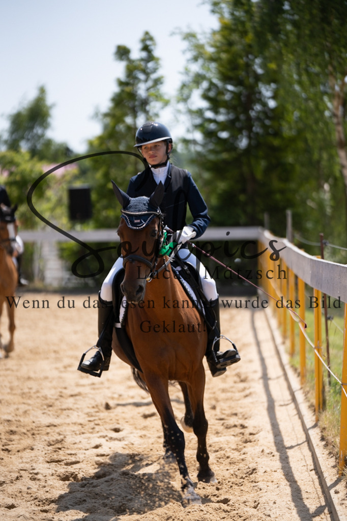 A7V08232 | Pferdefotograf