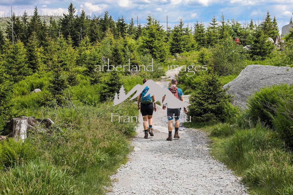 OE7A3987 | der Berg ist seit jeher Anziehungspunkt vieler Wanderer und Ausflügler