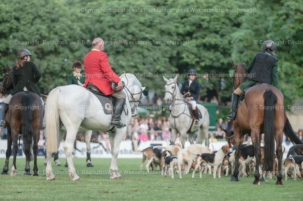 20230526_Pferdenacht_0583 | equistock