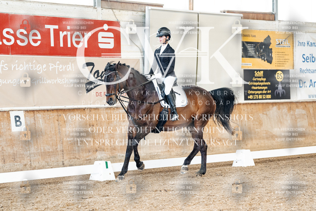 CK900048 | Turnierfotografie Pferdefotografie Trier Rheinland-Pfalz Pferdesport Reitsport Tierfotografie Sportfotografie Pferdevideo Pferdevideografie Equestrianvideography equestrianphotography  - Realisiert mit Pictrs.com