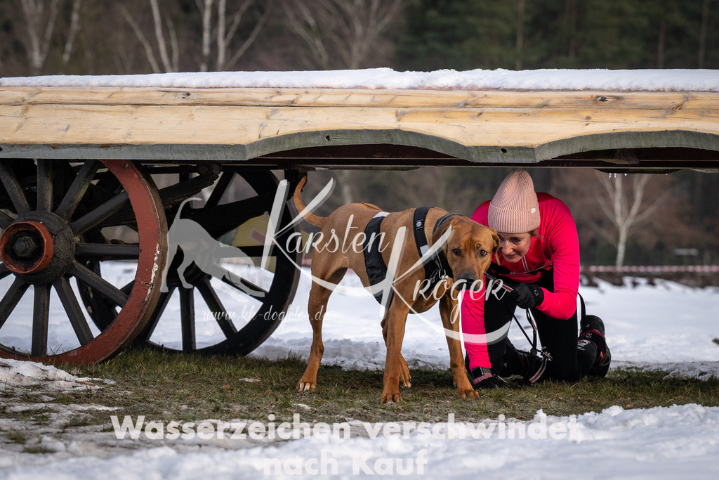 0815_ZZ91154-5 | kk-dogfotos