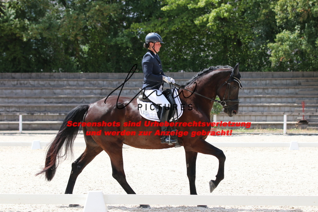 IMG_4801 | lmwpictures - Realisiert mit Pictrs.com