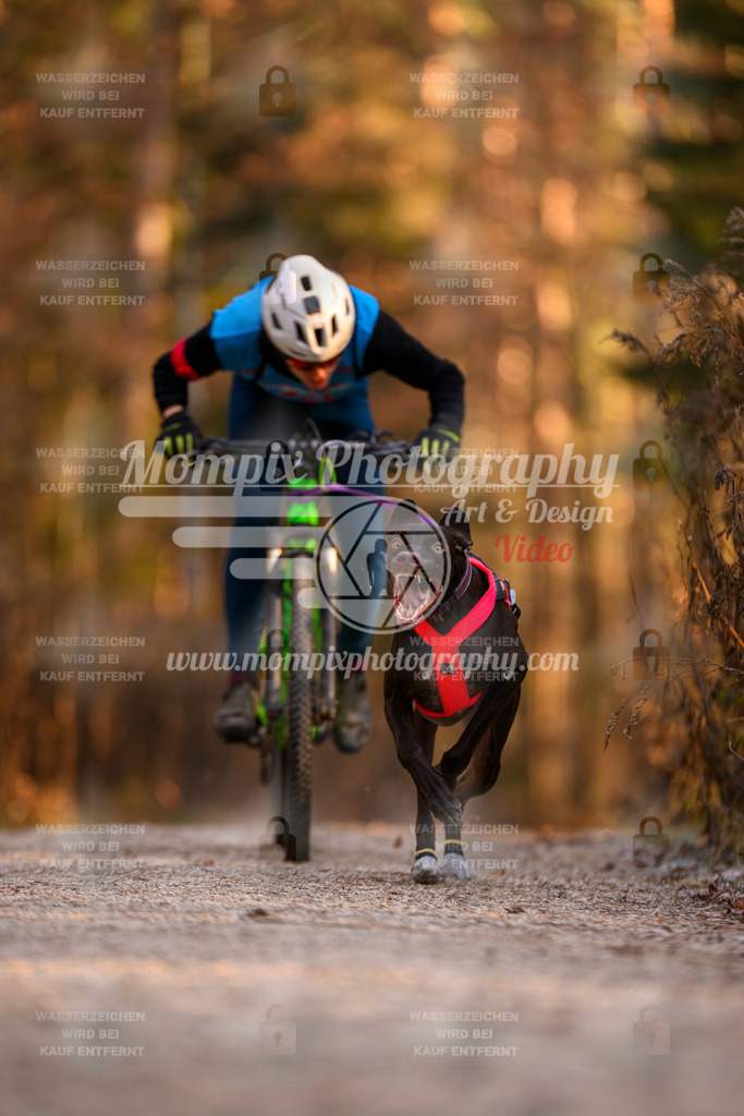MompixPhotography_DM_AKDM_SO_2025_Bike-6 | PayLife