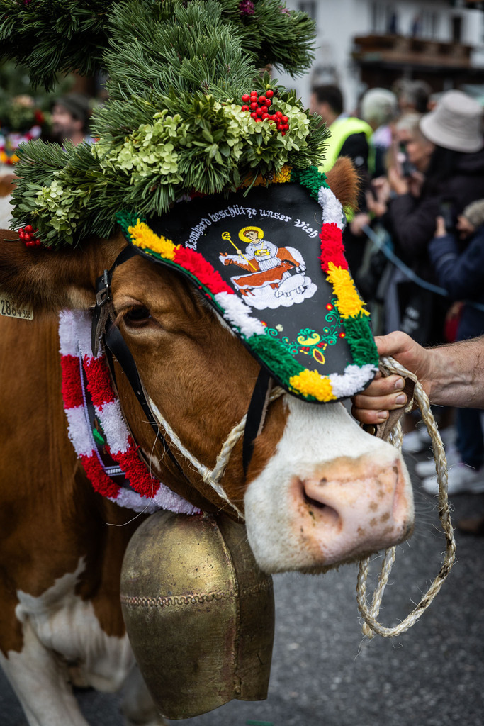 Rupertifest_Flachau_2k25_Webauflösung-346 | Bildershop Chri Fischbacher - Realisiert mit Pictrs.com