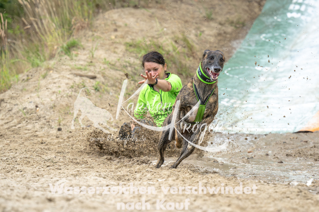 0954_ZZ91754-Verbessert-RR | kk-dogfotos