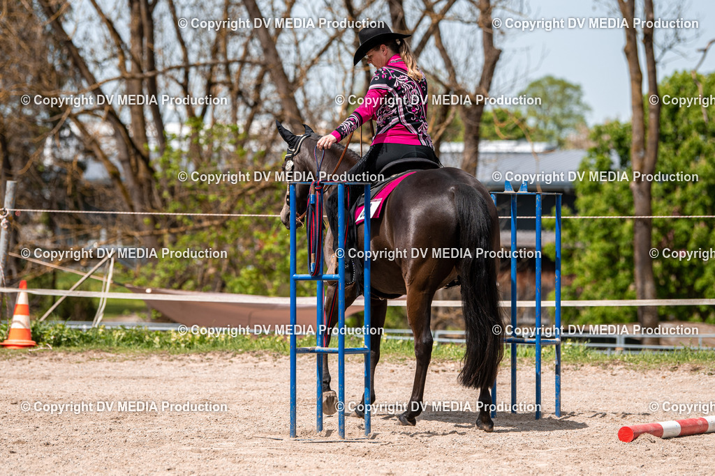 Balingen Tag 4-626 | dv-media-shop - Realisiert mit Pictrs.com