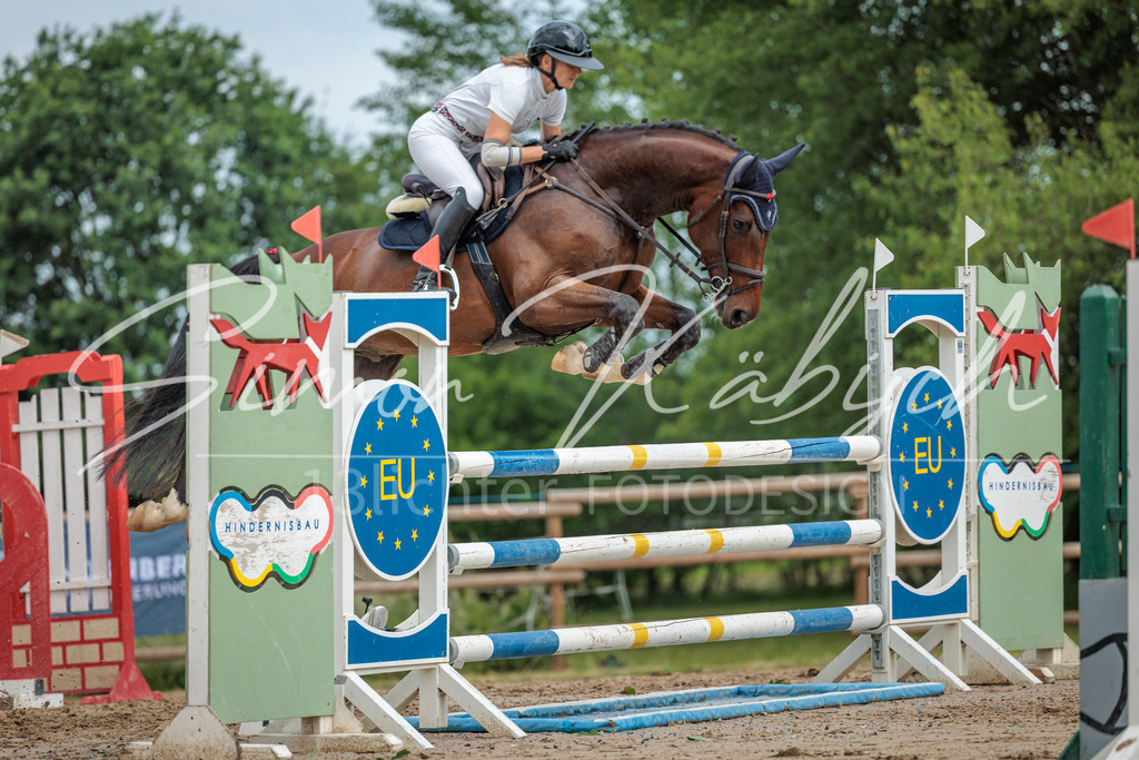 20260530-_3LI2931 | Tierfotografie Pferde, Hunde, Katzen, Haustiere.
Turnierfotografie Reitturniere, Reiten, Springreiten, Dressur in Hanau, dem Main-Kinzig-Kreis und dem Rhein-Main- Gebiet um Frankfurt