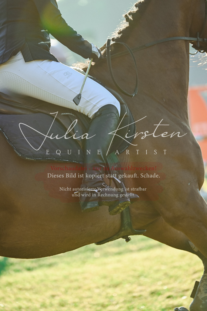 DSC_3834 | Pferde- und Turnierfotografie in Westsachsen. Pferdeportraits, Auftragszeichnungen und intuitive Kunst.
