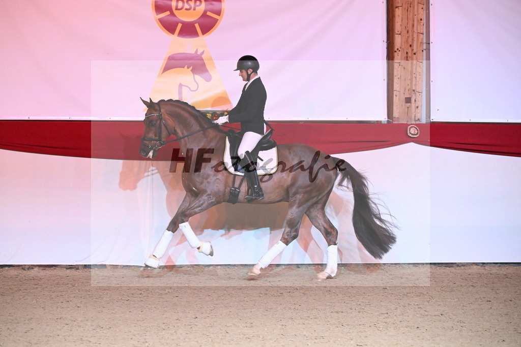 Feliciano_Wadenspanner_2254426 | hf-fotografie - Realisiert mit Pictrs.com