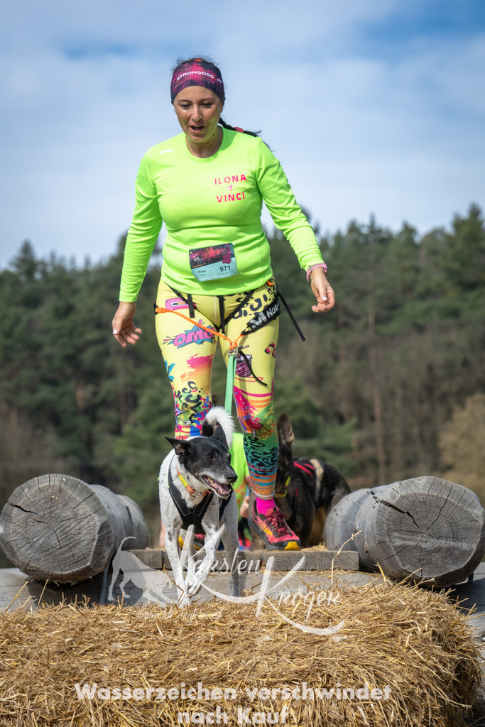 1033_ZZ92234 | kk-dogfotos
