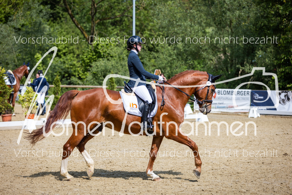 Donop24-L-Dre-018 | MomenTaufnahmen Pferdesportfotos