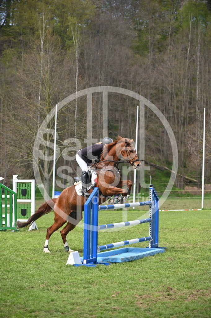 DSC_3785 | sattelsport - Realisiert mit Pictrs.com