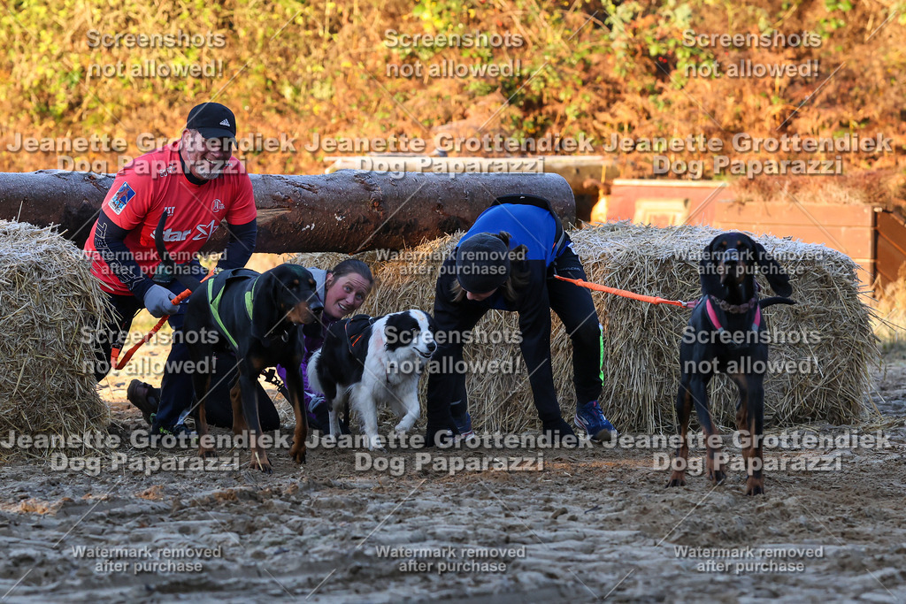 Dog Paparazzi - Strongdog 10-25-509 | Dog Paparazzi Jeanette Grottendiek Fotografie & Videografie - Realisiert mit Pictrs.com