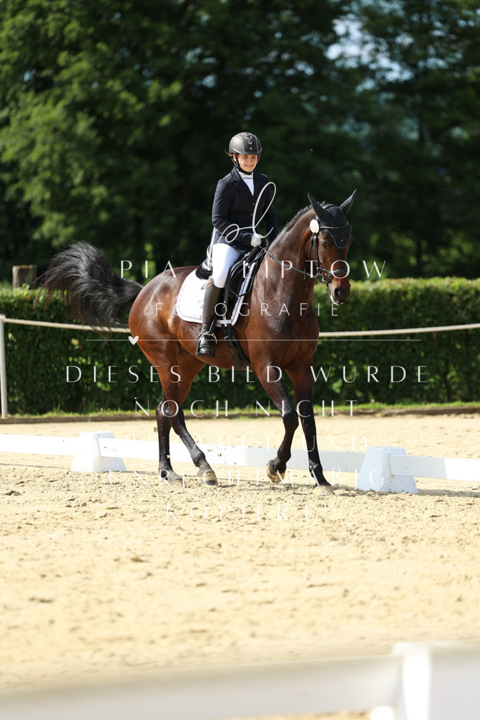 IMGM4008 | pl-fotografie