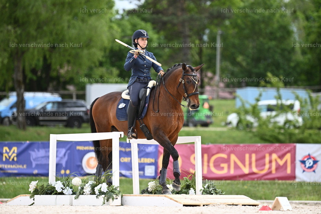 PI26_ST_Sara_Landvogt226_4090.JPG | working equitationturnier fotograf videograf stoibphotography marixx film working equitation deutschland reitsport turnierfotografie eventfotografie equestrian events