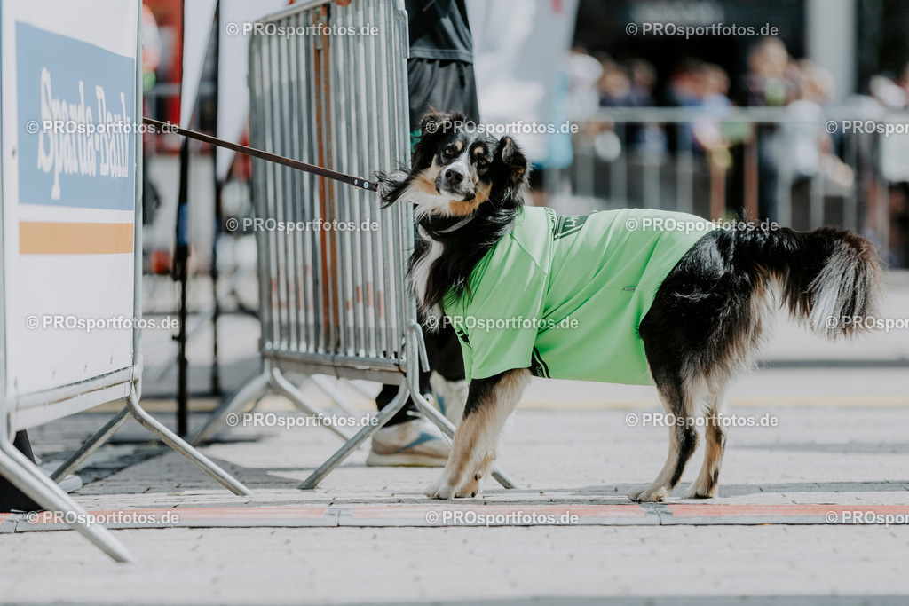 240825_Treppenlauf-224 | Professionelle Fotos Ihrer Laufsportveranstaltung.