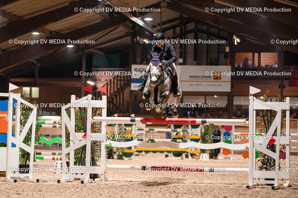 Springen Tag 2-883 | dv-media-shop - Realisiert mit Pictrs.com