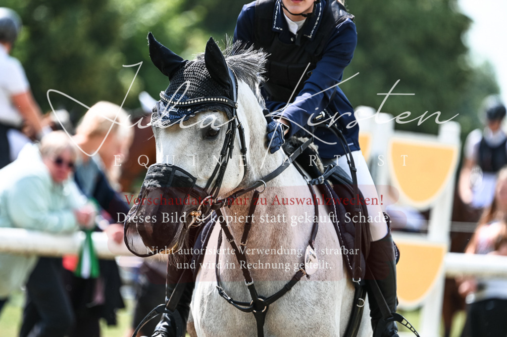 DSC_8825 | Pferde- und Turnierfotografie in Westsachsen. Pferdeportraits, Auftragszeichnungen und intuitive Kunst.