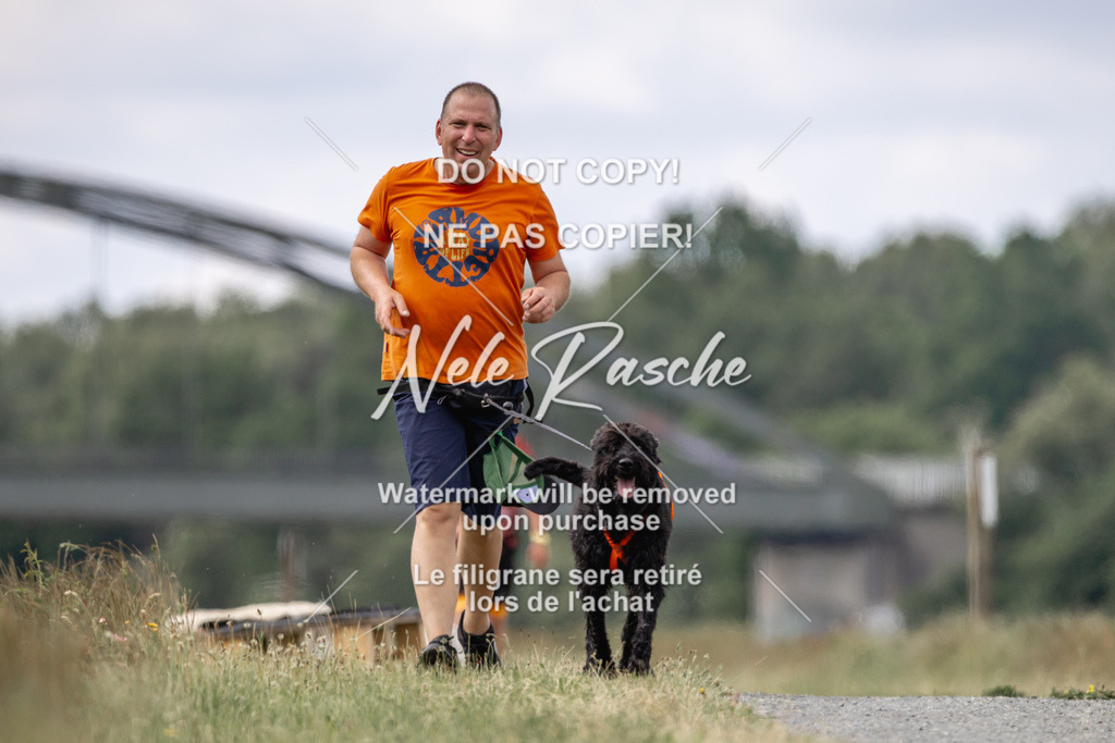 nelerasche_BuHu2026_SaCC1100-1200_40 | nelerasche