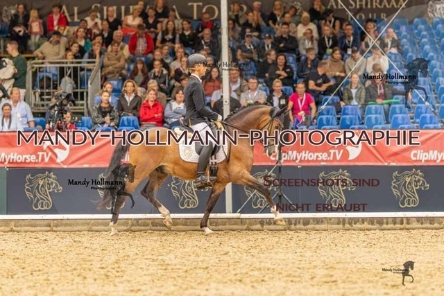 28-8-26 5j DRE-1290 | mandyhollmannphotographie