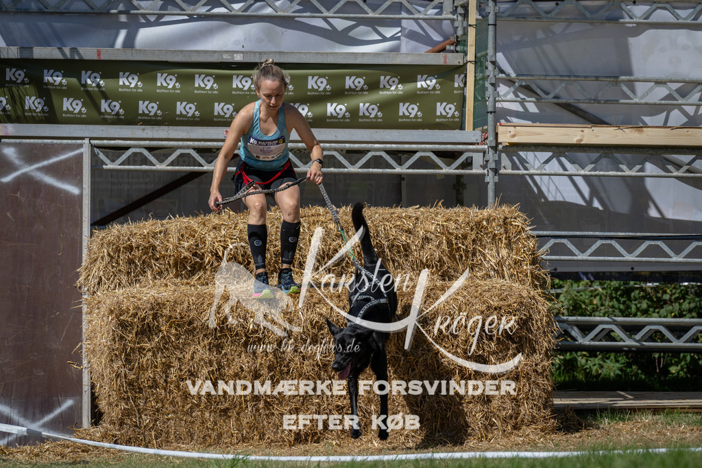 1244_ZZ96430 | kk-dogfotos