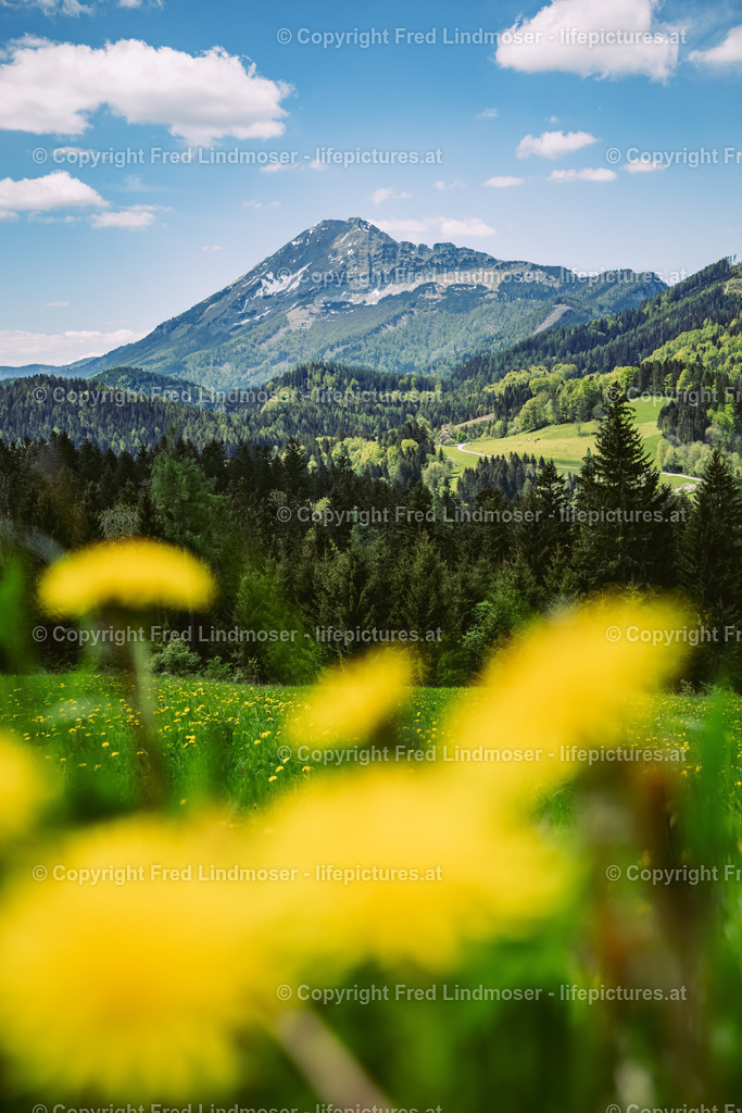 Oetscher Joachimsberg 01062021-5273 | Fotos und Fotoprodukte - Realisiert mit Pictrs.com