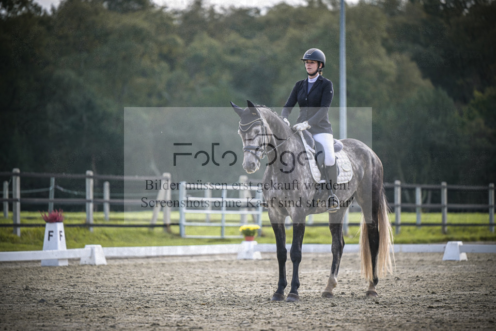 DOS_B183 | Entdecke hochwertige Reitturnierfotos von Foto Oger. Professionell, emotional und authentisch – jetzt Lieblingsmomente im Shop bestellen.Deutschlandweite Turnierfotografie. - Realisiert mit Pictrs.com