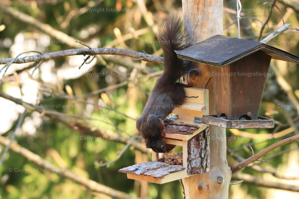 IMG_0625-heller | fotografie-graf - Realisiert mit Pictrs.com