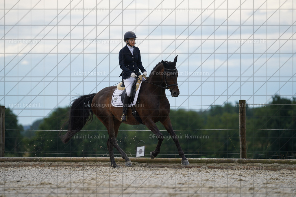 20230826-FAH04384 | Forstinning, 2023, Dressurturnier, Turniersportbilder, Turnierfotografen Bayern, Fotoagentur Herrmann, Reitsportfotografie, Turnierbilder