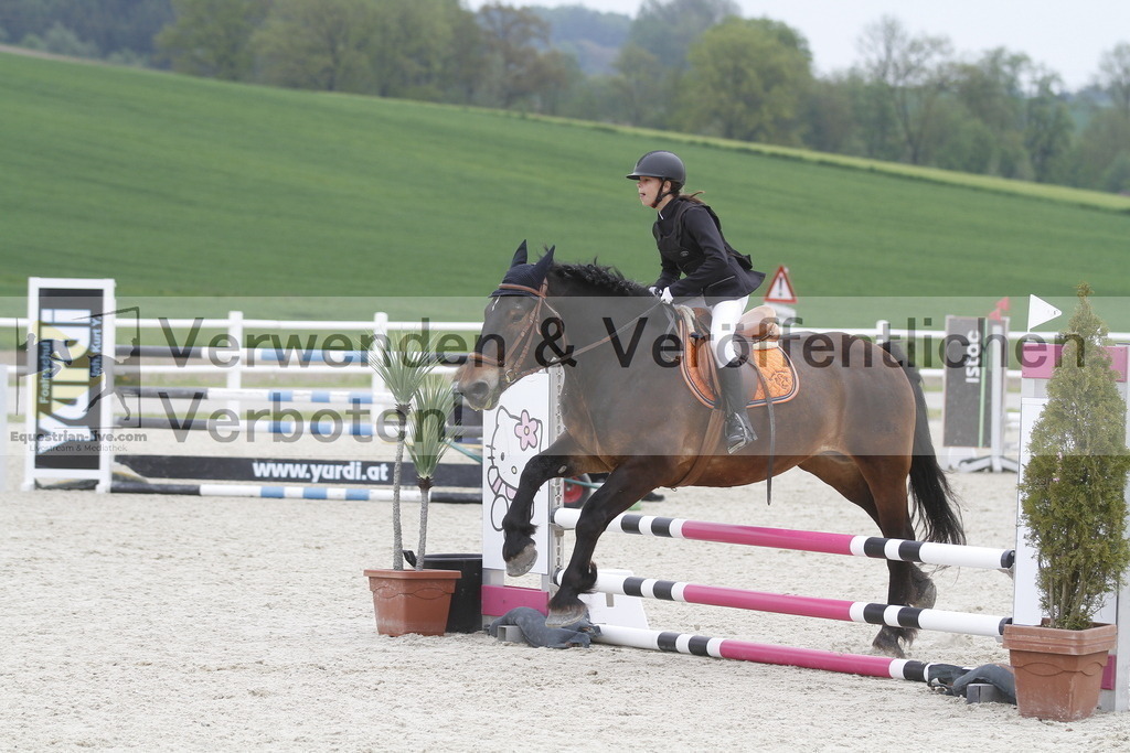 _MG_3618 | equestrian-live-com