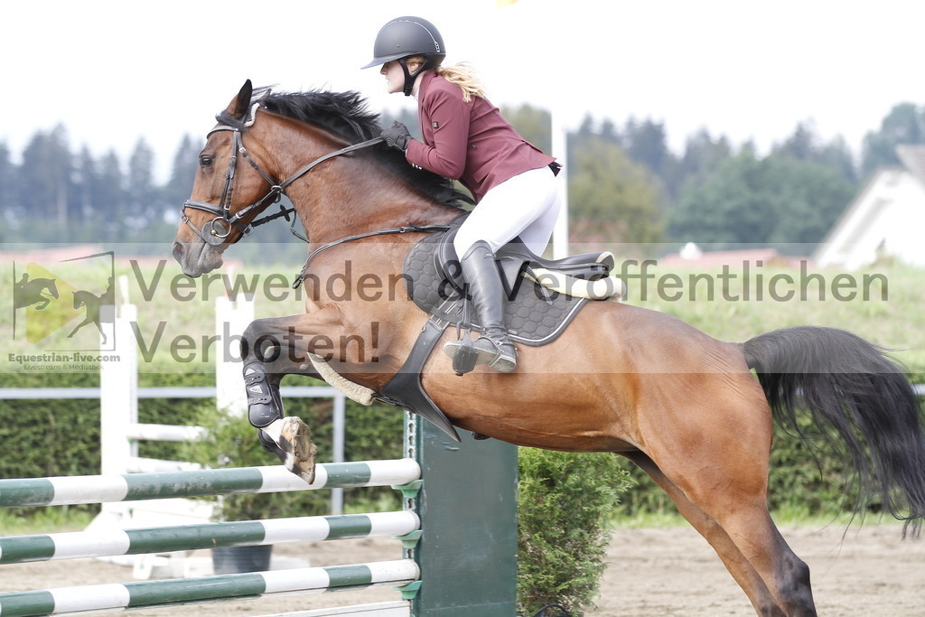 _MG_0096 | equestrian-live-com