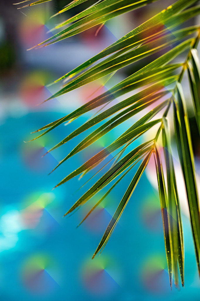 1M5A8877 | FineArtPrint, Hahnemühle, FeeGalerie, Fee Galerie, Fotokunst, Fotografie, Canonphotography, Bergfoto, Matterhorn, Rimpfischhorn, Allalinhorn, Saas-Fee, Wallis, Valais, Switzerland, Bergfotografie