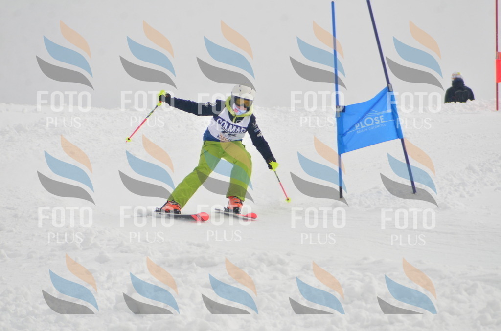 A5626 | holidayphoto