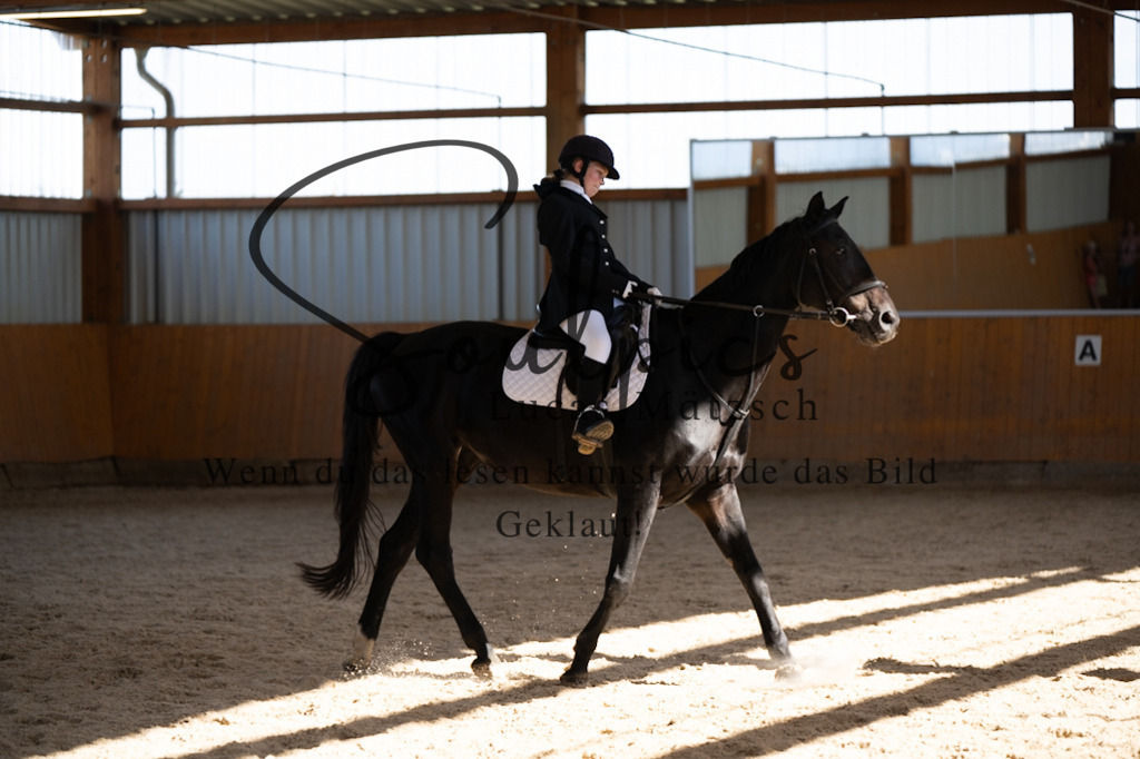 A7V02186 | Turnier/Reitfotograf