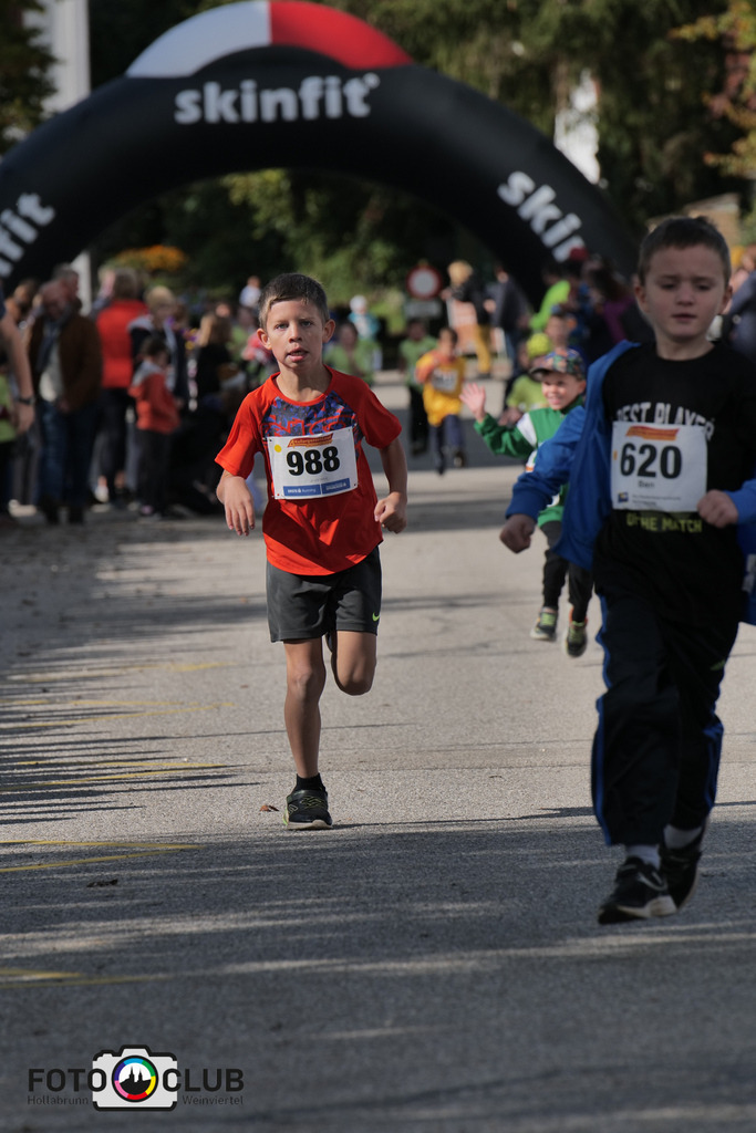 P1039166 | Foto Buchgraber