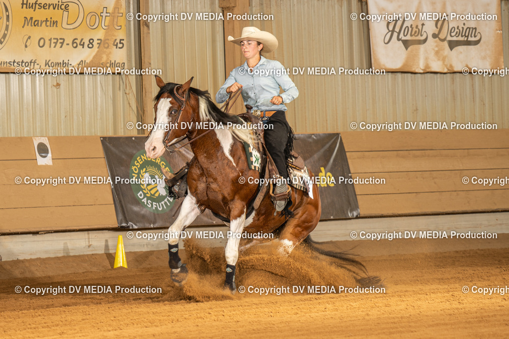 NID02112 | dv-media-shop - Realisiert mit Pictrs.com