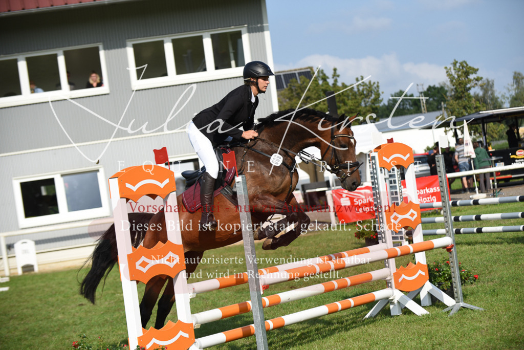 DSC_8691 | Pferde- und Turnierfotografie in Westsachsen. Pferdeportraits, Auftragszeichnungen und intuitive Kunst.