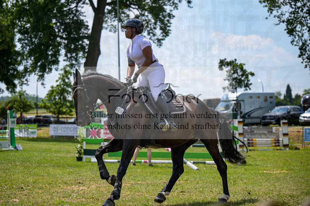Reitturnier Voxtrup | Entdecke hochwertige Reitturnierfotos von Foto Oger. Professionell, emotional und authentisch – jetzt Lieblingsmomente im Shop bestellen.Deutschlandweite Turnierfotografie. - Realisiert mit Pictrs.com