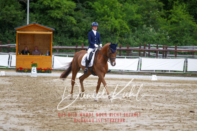 DKP47382 | Turniersportfotografie; Pferdefotografie; Dressurfotografie