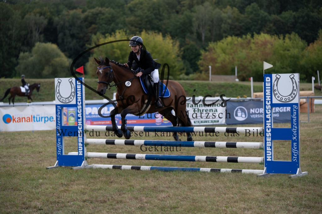 A7V07954 | Pferdefotograf