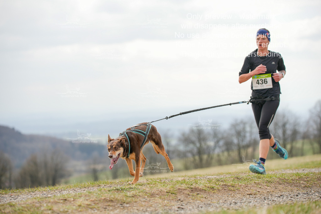 CaniXRunSA-199 | stephaniefillaphotographie - Realisiert mit Pictrs.com