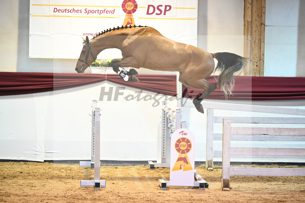 Kat-Nr. 53 v. Vingino_Bachl_66221193 | hf-fotografie - Realisiert mit Pictrs.com
