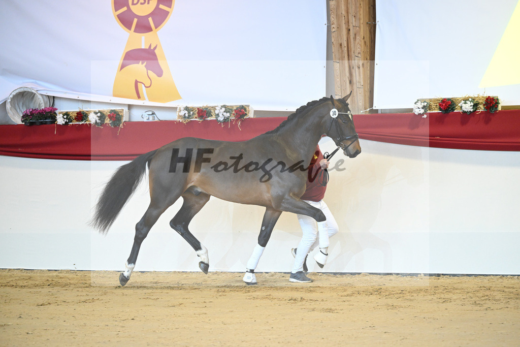 Kat-Nr. 30 Opium v d Moerhoeve_Keppel_1231205 | hf-fotografie - Realizzato con Pictrs.com