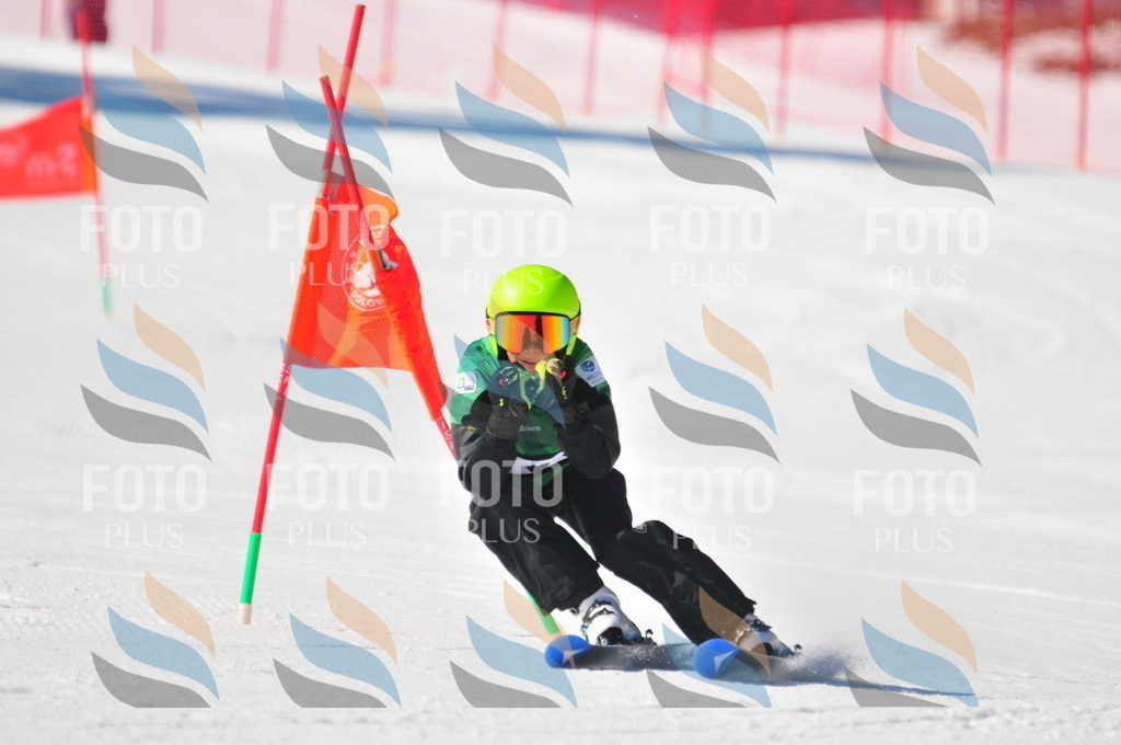 C2814 | holidayphoto