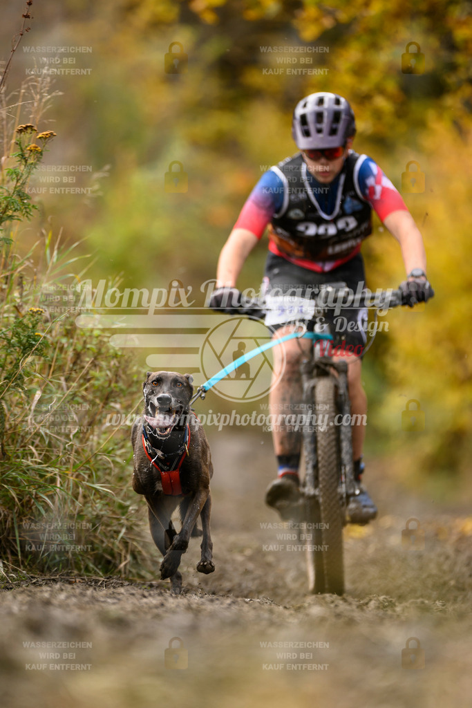 MompixPhotography_ICF_WC_2024_SA_Bike_-378 | PayLife