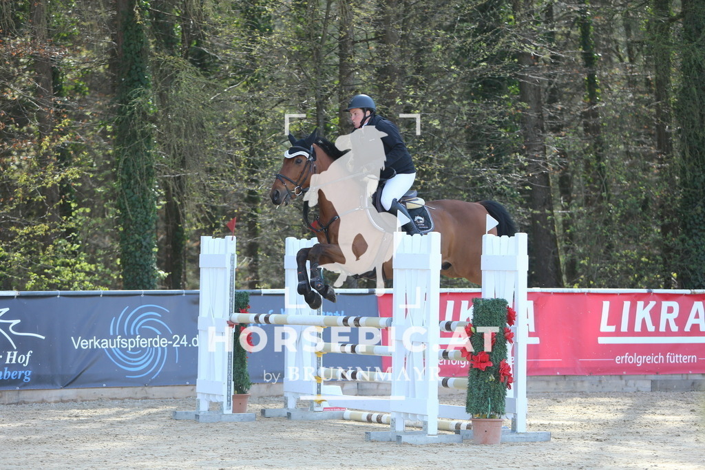 DL2Q0865 | Willkommen bei Brunnmayr - Design & Fotografie – Ihrem Spezialisten für Reitturniere und Pferdeveranstaltungen in Oberösterreich, Salzburg und Bayern! Seit über 17 Jahren sind wir leidenschaftlich dabei.