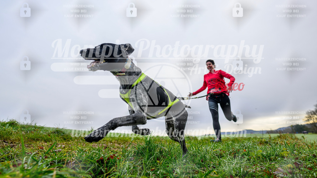 MompixPhotography_Staufertrail2024_SO_Canicross-10 | PayLife